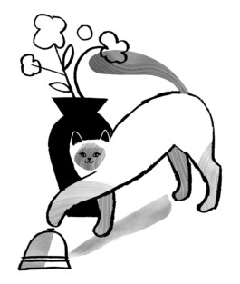 Stephanie Wunderlich